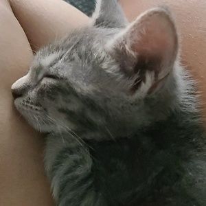 Meet your Posher, Maria